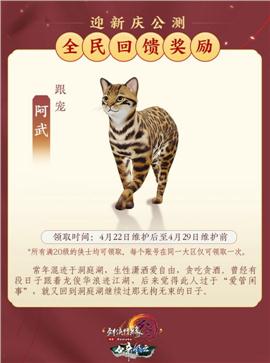 经典火龙天龙八部私服